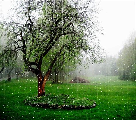 nature wallpapers rain licth nature wallpaper blog