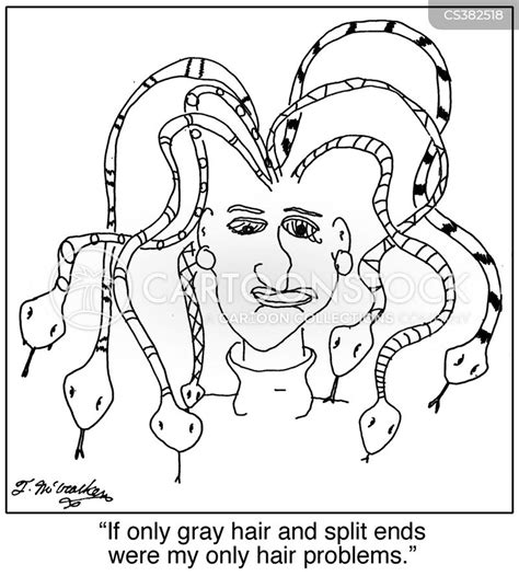 Gray Hairs Cartoons And Comics Funny Pictures From Cartoonstock