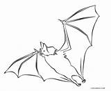 Coloring Pages Bat Bats Printable sketch template