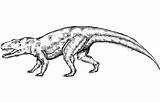Postosuchus sketch template