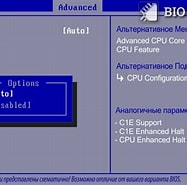 C1E CPU に対する画像結果.サイズ: 187 x 185。ソース: biosgid.ru