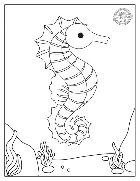 seahorse coloring pages  print home interior design