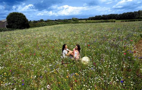 One Couple 57 Flowers And The Somerset Meadow They Turned