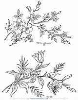 Coloring Branch Floral Daily sketch template