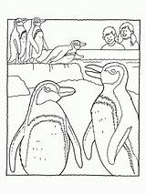 Penguin Pinguin Martha Speaks Penguins Ausmalbild Jake sketch template
