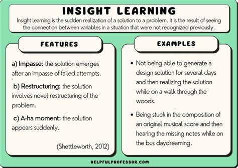 insight learning  examples definition case studies