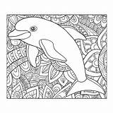Moeilijke Dolfijn Leukvoorkids Dieren Moeilijk Dolfijnen sketch template
