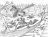 Archaeopteryx Pair Forest Coloring Robin Pages Great sketch template