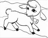 Coloring Pages Kids Lamb Printable sketch template