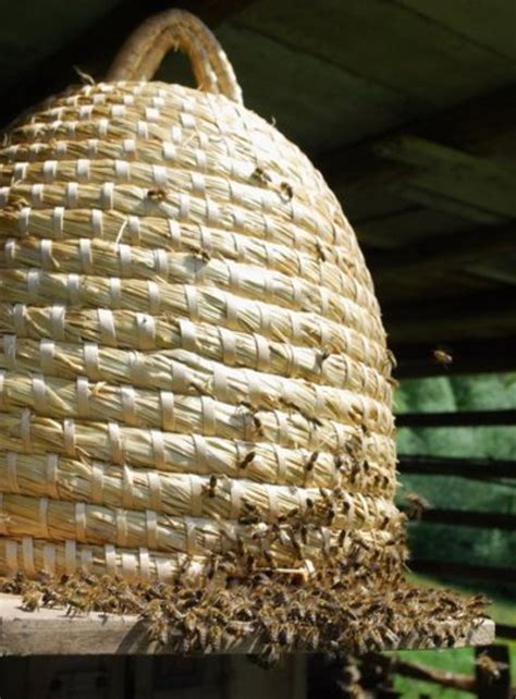 straw bee skep traditional bee skep basket height  etsy