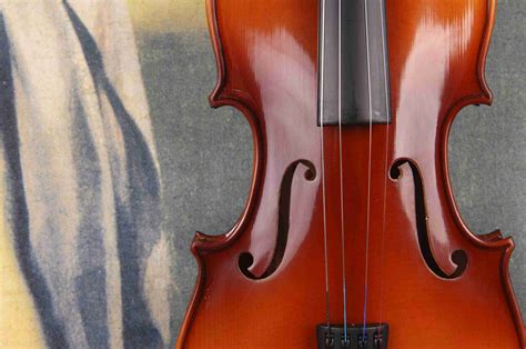 parts   violin   function