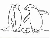 Penguins Penguin Coloring Template Pages Baby Adelie Templates Print Twin Pair Their Shape Animal Cartoons Nest Arnold Caroline Books sketch template