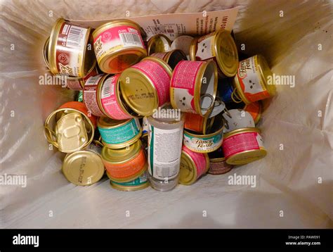 empty cat food cans   kitchen recycling bin stock photo alamy