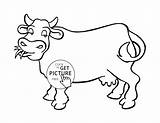 Cow Coloring Pages Printable Cattle Kids Cartoon Drawing Animal Sheets Wuppsy Library Getdrawings Colouring Color Printables Nice Print Popular Clipart sketch template