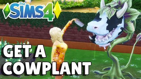 cowplant   sims  youtube