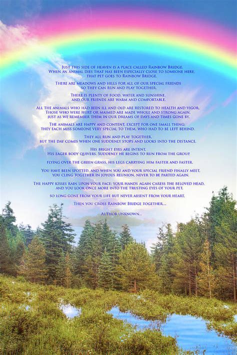 poem rainbow bridge printable