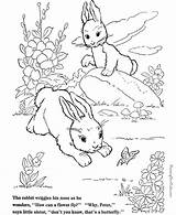 Kaninchen Hase Rabbits Bunny Kostenlos Malvorlagen Raisingourkids Hasen Ausmalbild Q1 sketch template