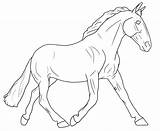 Coloring Breyer Horse Pages Printable Contest Kids Popular Library Realistic Template Clip Codes Insertion sketch template