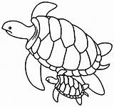 Tortue Tortues Coloriages Primanyc Justcolor sketch template