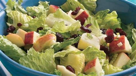 romaine salad with apples and cranberries recipe from