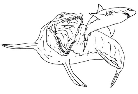 mosasaurus hunting shark coloring page  printable coloring pages