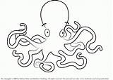 Polvo Tintenfisch Molde Octopus Oktopus Risco Ausmalbild Polvos Inky Letzte Coloringhome sketch template