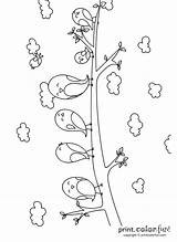 Birds Cartoon Cute Branch Printcolorfun sketch template