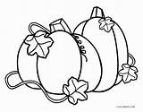 Pumpkin Coloring Pages Printable Plant Itachi Drawing Fall Uchiha Gourd Kids Vines Patch Getcolorings Pumpkins Getdrawings Print Paintingvalley sketch template