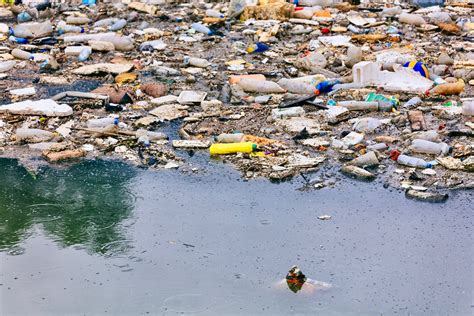 fau study reveals   percent  plastics  sea  missing  year