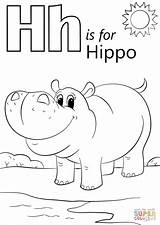 Coloring Letter Pages Hippopotamus Hippo Printable sketch template