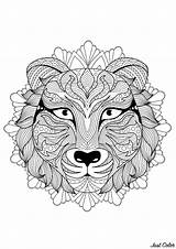 Mandala Head Tiger Mandalas Floral Coloring Patterns Wolf Magnificent Rounded Background Color Elegant Pages sketch template