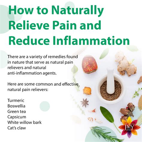 natural pain relief  inflammation dr diana joy ostroff