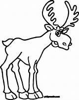 Moose Alaska Wecoloringpage Elk Clipartmag sketch template