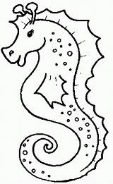 Coloring Seahorse Pages Sea Horse Printable Drawing Outline Color Print Worksheet Kids Patterns Seahorses Mar Animals Fish Artistic Version Templates sketch template