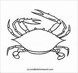 Crab Outline Drawing Line Coloring Getdrawings sketch template