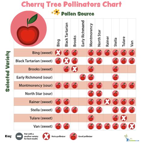 pollination charts for fruit bearing trees and shrubs