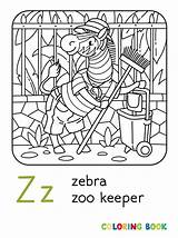 Keeper Zoo Zebra Coloring Book Dressed Funny Panama Shorts Hat Shirt Alphabet Animal Dreamstime Illustrations Vectors sketch template