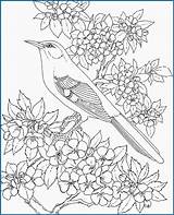 Coloring Flower Pages State Mockingbird Arkansas Bird Bluebonnet Drawing Texas Birds Printable Clipart Template Apple Blossom Adults Para Colorear Animals sketch template