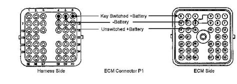 cat   pin ecm wiring diagram qa guide