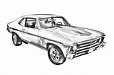 Yenko Webber Coloring Sketch sketch template