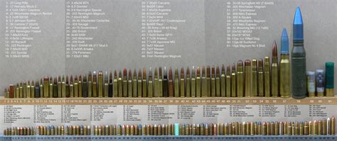 A Guide To Every Bullet Caliber R Damnthatsinteresting