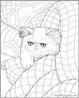 Coloring Pages Adult Cat Color Sheets Cats Animal Lovers Colors Books Printable Book Colouring Doodle Adults Cleverpedia Printables Crafts sketch template
