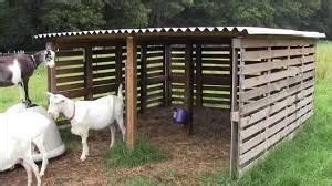 image result  pallet goat toy goat house goat