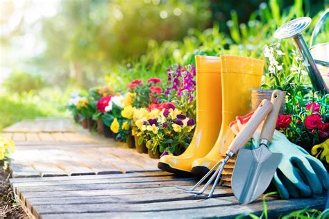 Guía De Jardinería Blog De Jardinería Con Consejos E Información Para