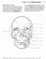 Coloring Anatomy Integumentary sketch template