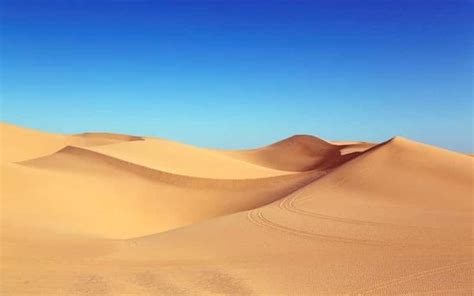 el sahara  desierto poco comun