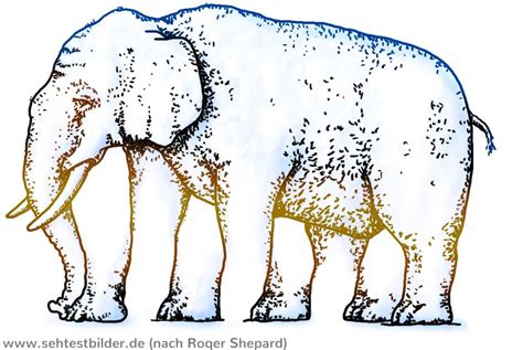 elefant mit fuenf beinen optische illusion