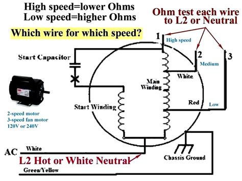 wiring diagram  hunter  speed ceiling fan