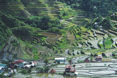 Batad Rice Terraces Photo
