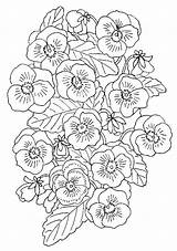 Blumen Bloemen Kleurplaten Ausmalen Clematis Animaatjes Bunga Mewarnai Pintarcolorir Pansey Zeichnungen Animasi Bergerak Malvorlagen1001 1954 Meist Gedownloadete sketch template
